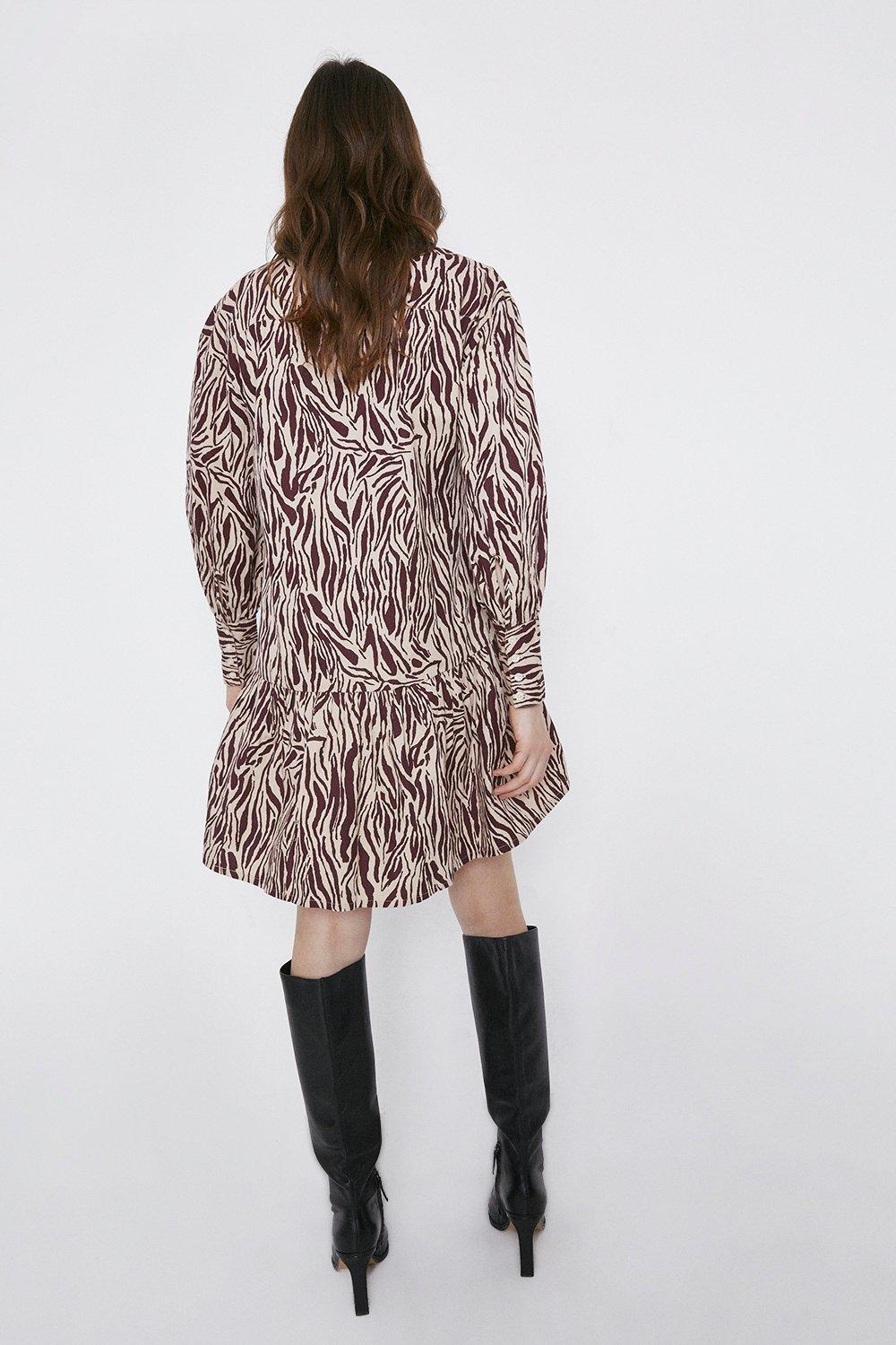 zebra shirt dress zara