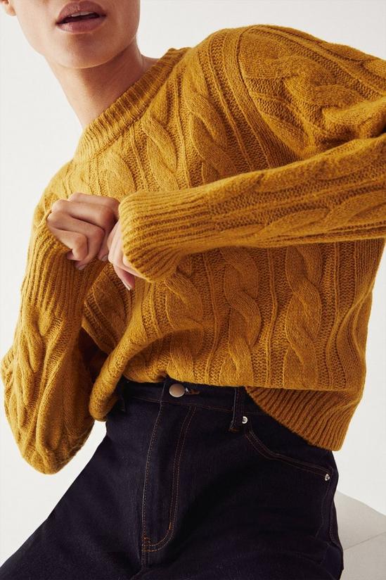 Warehouse Chunky Cable Knit Jumper 2