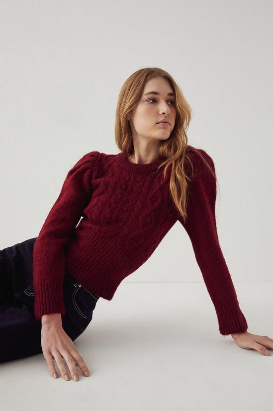 Warehouse Puff Sleeve Bobble And Cable Knit Jumper 2
