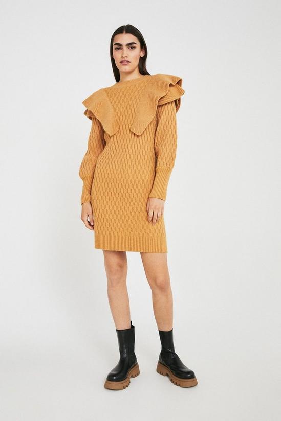 Warehouse Honeycomb Ruffle Knit Mini Dress 1