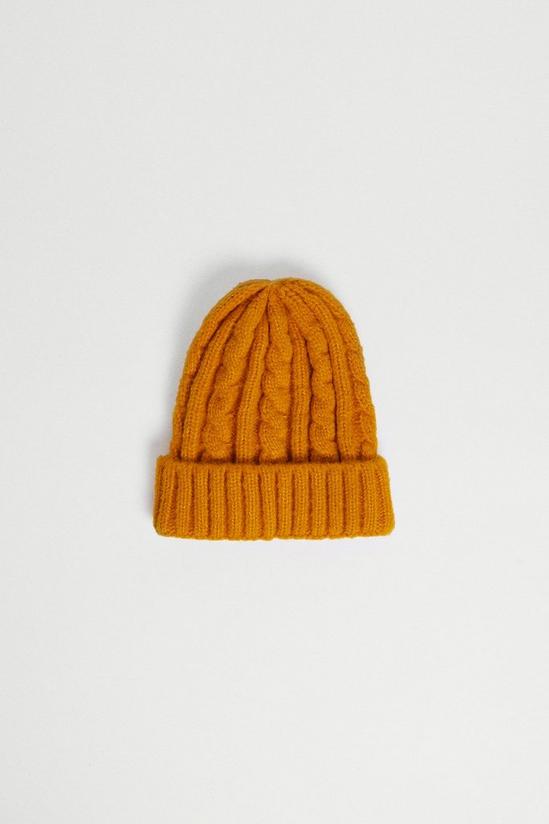 Warehouse Cable Knit Beanie 1