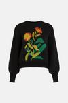 Warehouse British Museum X Mary Delany Floral Jumper thumbnail 4