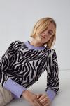 Warehouse Zebra Knit Jumper With Contrast Trim thumbnail 2