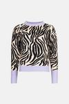 Warehouse Zebra Knit Jumper With Contrast Trim thumbnail 4