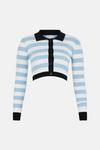Warehouse Ribbed Stripe Cropped Polo Jumper thumbnail 5