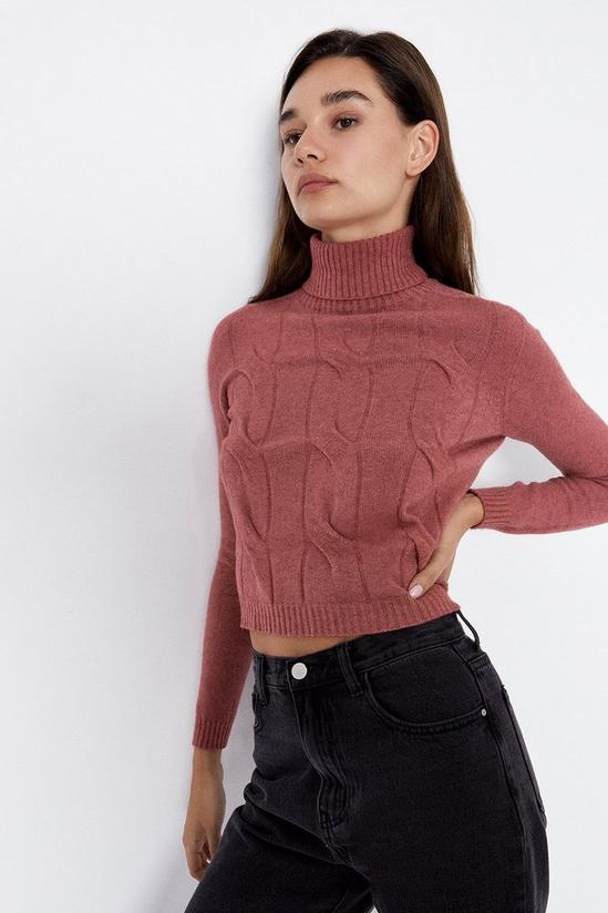 Warehouse Cable Detail Cropped Roll Neck Jumper 2
