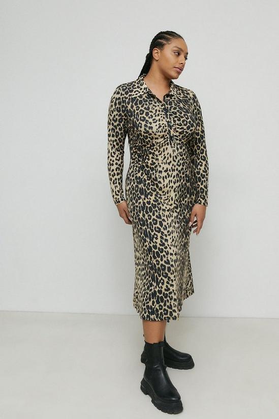 Warehouse Plus Size Animal Print Ruched Front Shirt Dress 1