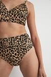 Warehouse Leopard Ribbed High Waisted Bikini Bottoms thumbnail 2