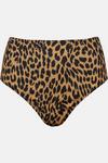 Warehouse Leopard Ribbed High Waisted Bikini Bottoms thumbnail 4