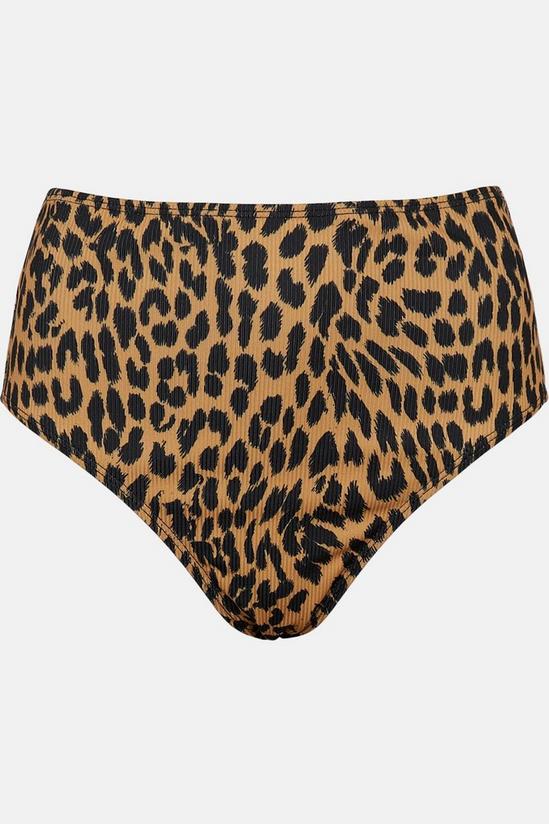 Warehouse Leopard Ribbed High Waisted Bikini Bottoms 4