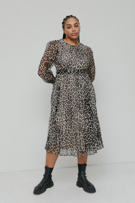 Warehouse Plus Size Belted Pleated Midi Dress In Animal 1
