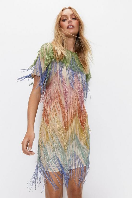 Rainbow Feather Dress 